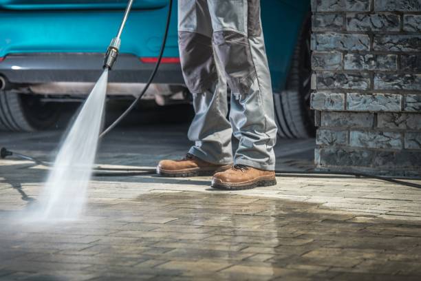Best Soft Washing  in Jersey Shore, PA